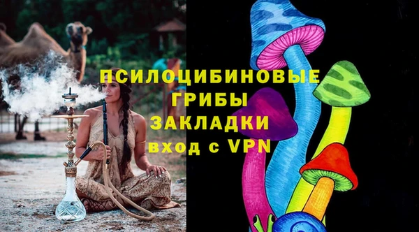 дживик Кулебаки