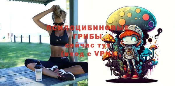 хмурый Куйбышев