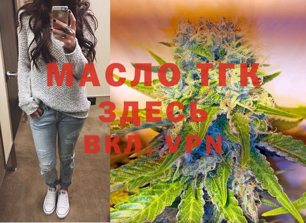 сатива Покачи