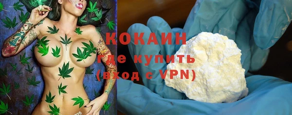 дживик Кулебаки