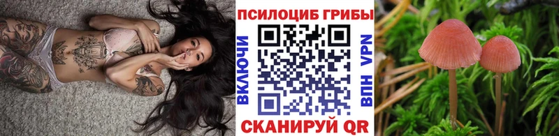 это официальный сайт  блэк спрут ссылки  Яхрома  Галлюциногенные грибы ЛСД 